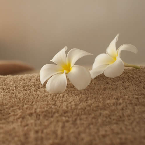Massage Amma Assis